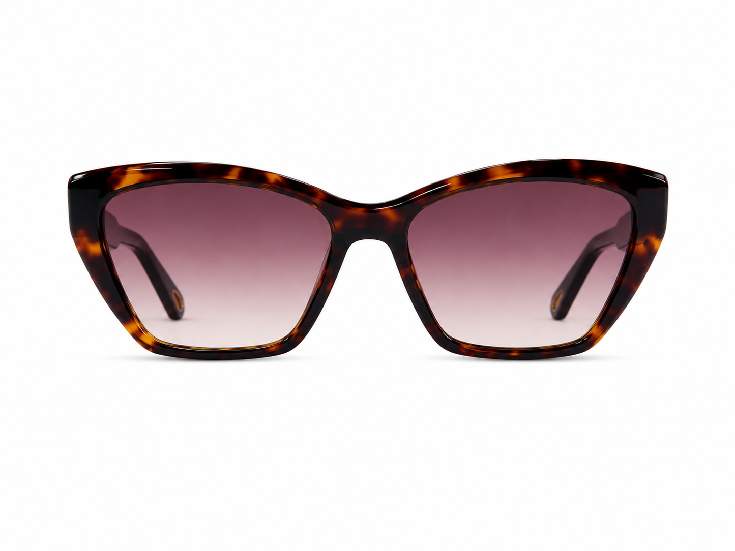Chloé Cat-Eye Tortoiseshell Sunglasses