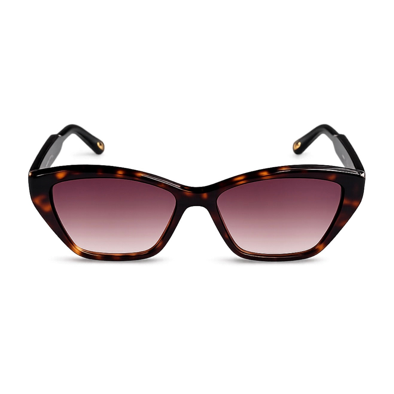 Chloé Cat-Eye Tortoiseshell Sunglasses